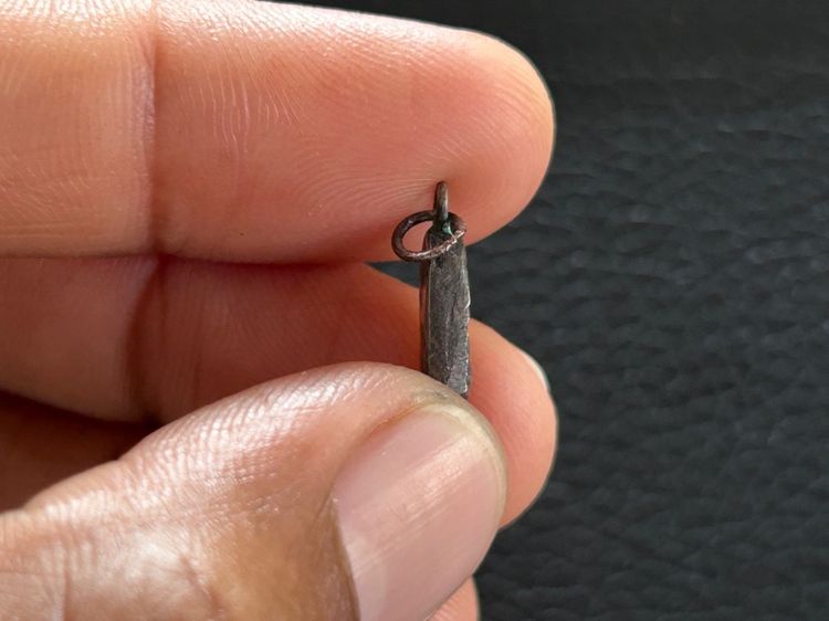 พระนาคปกหลวงปู่ศุข รูปที่ 6