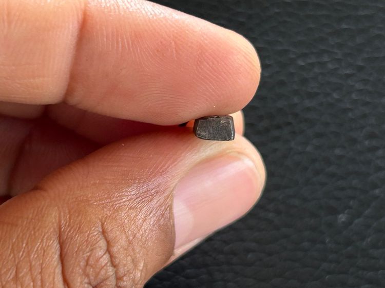 พระนาคปกหลวงปู่ศุข รูปที่ 4