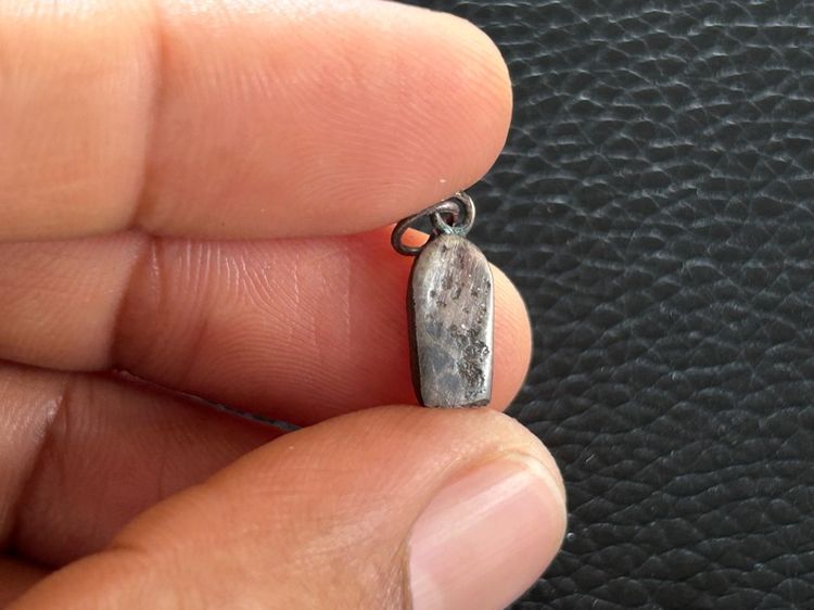 พระนาคปกหลวงปู่ศุข รูปที่ 15