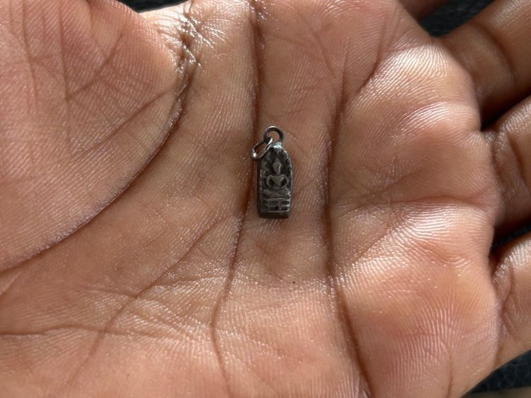 พระนาคปกหลวงปู่ศุข รูปที่ 11