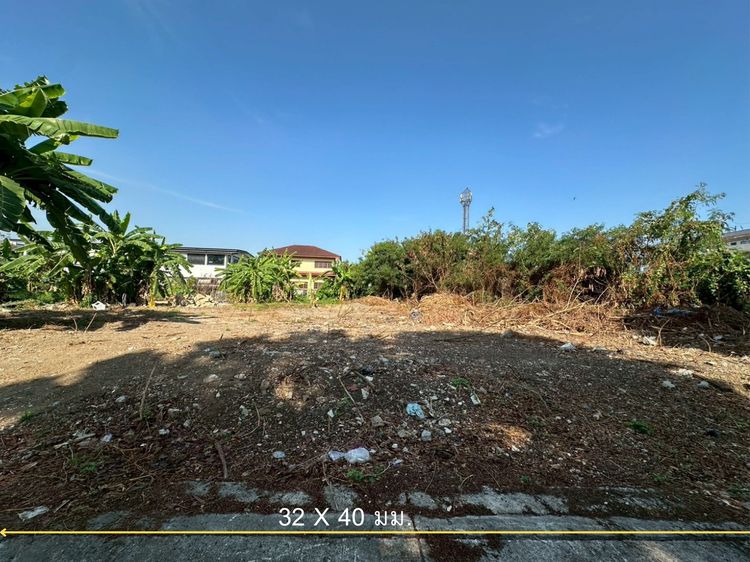 ที่ดินเปล่า 353 ตร.ว. แปลงสวย ถนนแบริ่ง - ลาชาล (ซอย แบริ่งตัดใหม่ 7) ใกล้BTS แบริ่ง รูปที่ 4