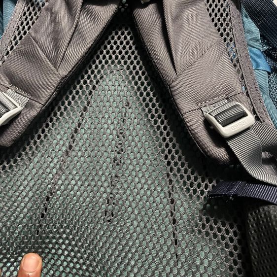 Osprey  รูปที่ 5