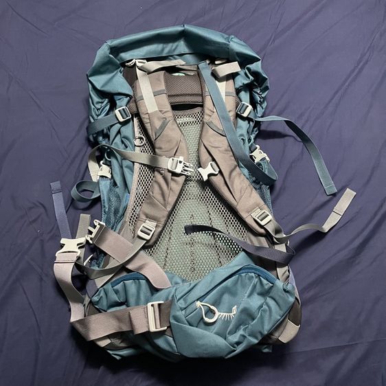 Osprey  รูปที่ 2