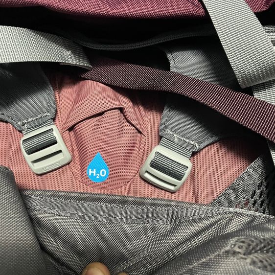 Osprey  รูปที่ 7