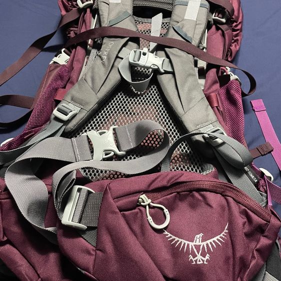 Osprey  รูปที่ 4