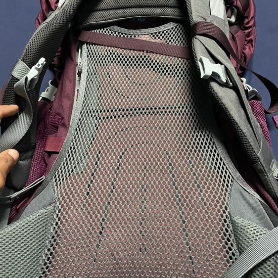 Osprey  รูปที่ 5