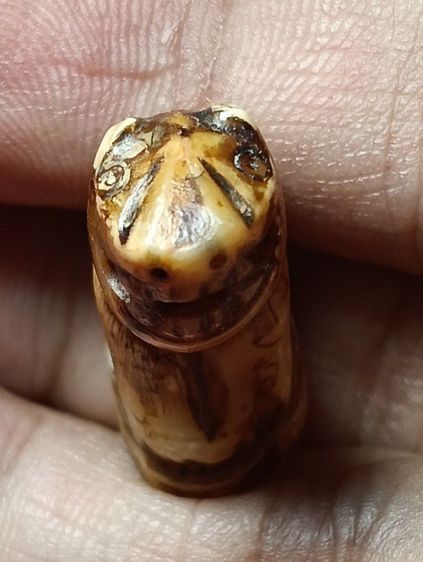 ให้เช่า รูปที่ 5