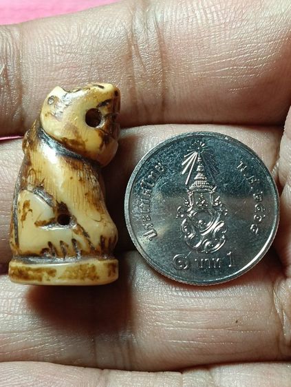 ให้เช่า รูปที่ 7