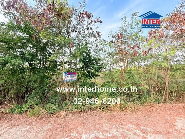 ที่ดินเปล่า 200 ตร.ว. ที่ดินเปล่า สวนเกษตรปิ่นทองแลนด์ เข้าซอยติดร้านซดครก Loft บางเลน นครปฐม รูปที่ 4