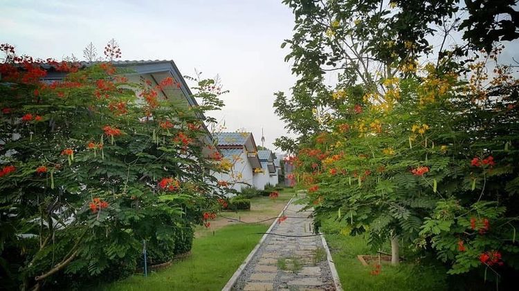 ที่ดินพร้อมกิจการ