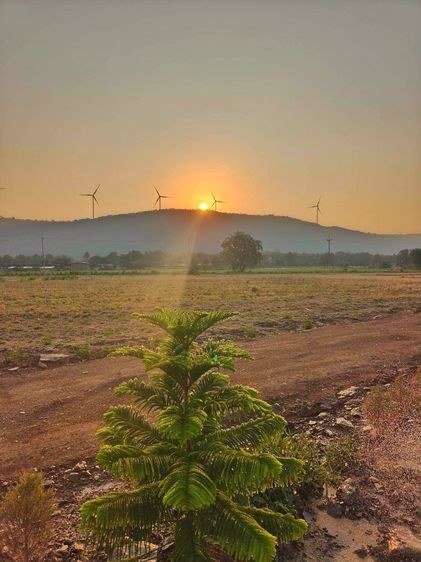 ที่ดินเพื่อที่อยู่อาศัย