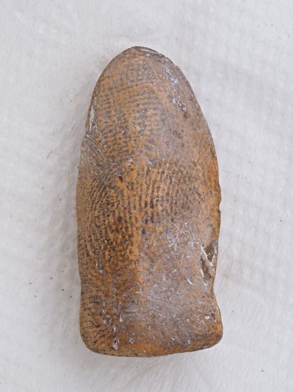 พระรอด 25126810 รูปที่ 2