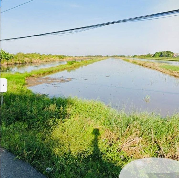 ขายที่ดินลำลูกกาคลอง 7  ขนาด 40 ไร่ ติดถนน ผังที่ดินสีเหลือง พร้อมโฉนด ปทุมธานี รูปที่ 4