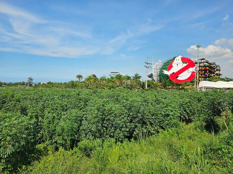 ขายที่ดินแปลงสวย 19 ไร่ 2 งาน ซอยนาจอมเทียน 50 และ 52 ทำเลดี เดินทางสะดวก ต.นาจอมเทียน อ.สัตหีบ จ.ชลบุรี รูปที่ 3