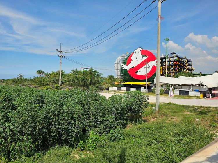 ขายที่ดินแปลงสวย 19 ไร่ 2 งาน ซอยนาจอมเทียน 50 และ 52 ทำเลดี เดินทางสะดวก ต.นาจอมเทียน อ.สัตหีบ จ.ชลบุรี รูปที่ 4