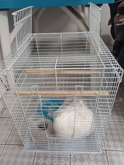 กรง คอกและประตู กรงพร้อมอุปกรณ์เลี้ยงซูก้าไรเดอร์ ใหม่กริบค่ะ
