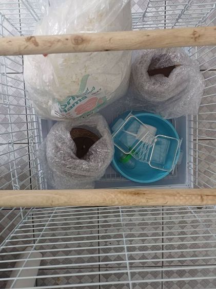 กรงพร้อมอุปกรณ์เลี้ยงซูก้าไรเดอร์ ใหม่กริบค่ะ รูปที่ 3