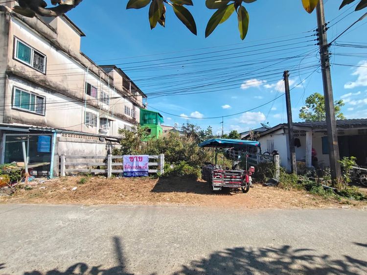 ขายที่ดิน ปลูกบ้าน ถ. 3375 ซ. บ้านลุงประเสริฐ นิคมพัฒนา ใกล้ โลตัส ,ตลาด  นิคมพัฒนา ระยอง (ที่ดินถมแล้ว ทำเลสะดวก ใกล้ปากซอย ) รูปที่ 4