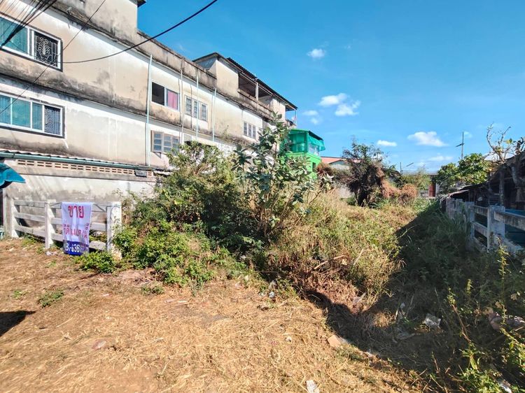 ขายที่ดิน ปลูกบ้าน ถ. 3375 ซ. บ้านลุงประเสริฐ นิคมพัฒนา ใกล้ โลตัส ,ตลาด  นิคมพัฒนา ระยอง (ที่ดินถมแล้ว ทำเลสะดวก ใกล้ปากซอย ) รูปที่ 2