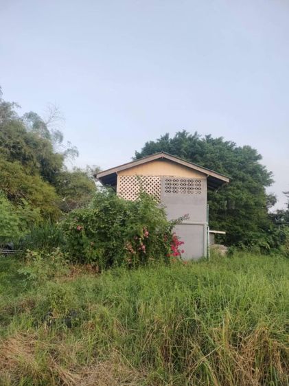 ใช่ ที่ดิน รูปที่ 2