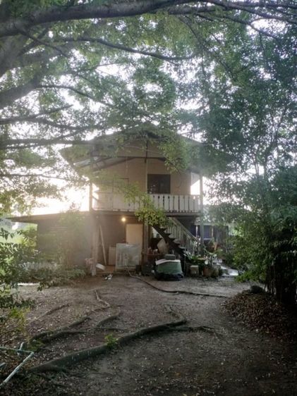 ใช่ ที่ดิน