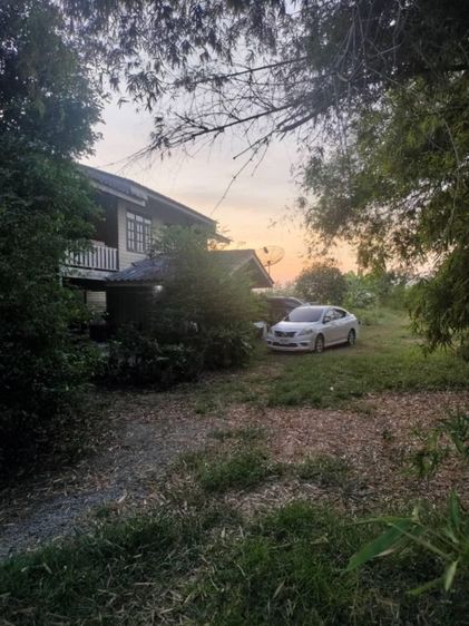 ใช่ ที่ดิน รูปที่ 4