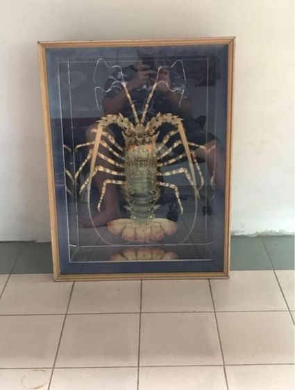 กุ้งตกแต่งบ้าน