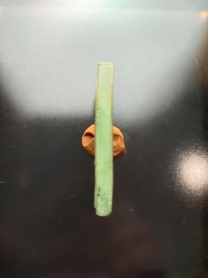 พระสมเด็จปรกโพธิ์ 9 ใบ หลวงพ่อกวย ชุตินธโร วัดโฆสิตาราม จังหวัดชัยนาท เนื้อเขียวก้านมะลิ  รูปที่ 2