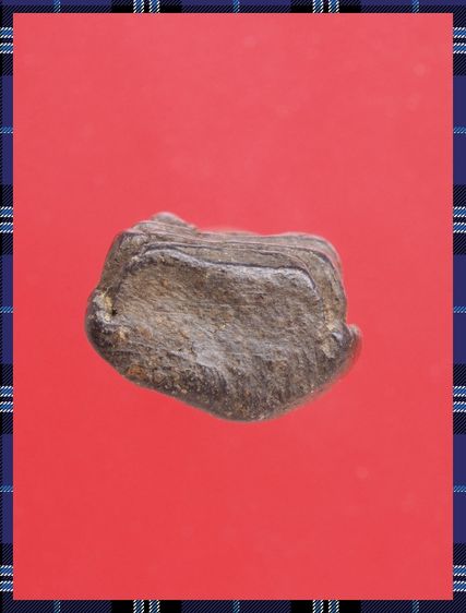 r96-r97.หลวงปู่ทวด-พระรอด องค์ๆละ 419 บ. พร้อมส่ง EMS ค่ะ รูปที่ 7