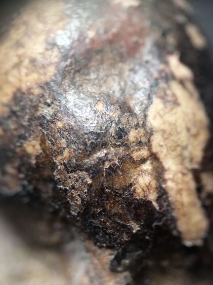 พระปิดตาลงรักครับไม่ทราบสำนักครับ รูปที่ 5