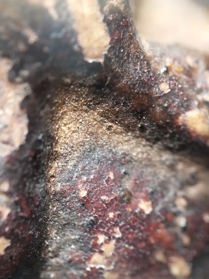 พระปิดตาลงรักครับไม่ทราบสำนักครับ รูปที่ 7