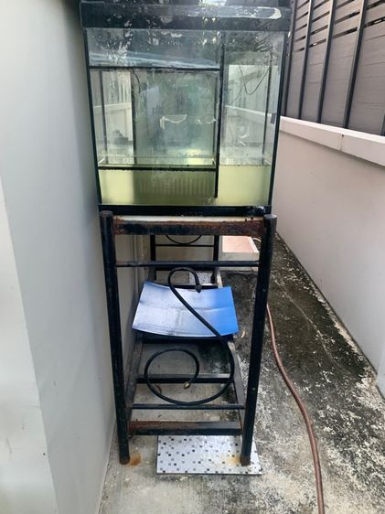 ตู้ปลา ขนาด 60 พร้อมอุปกรณ์ รูปที่ 3