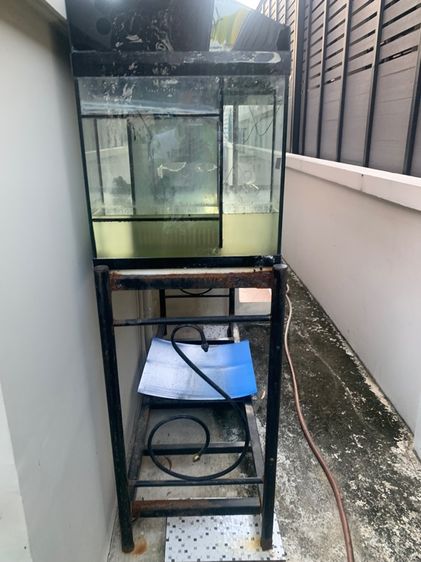 ตู้ปลา ขนาด 60 พร้อมอุปกรณ์ รูปที่ 4