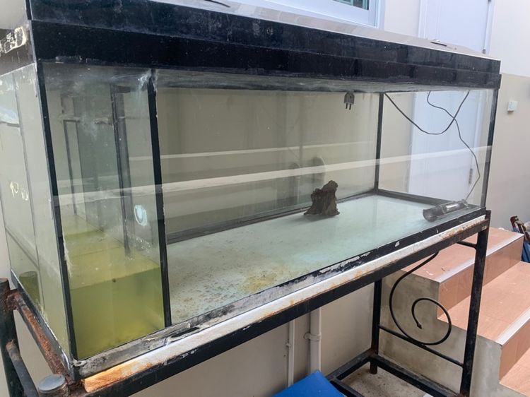 ตู้ปลา ขนาด 60 พร้อมอุปกรณ์ รูปที่ 2