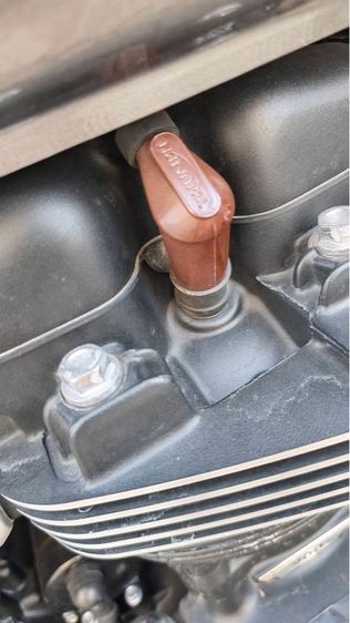 Triumph. T100 goldline รูปที่ 8