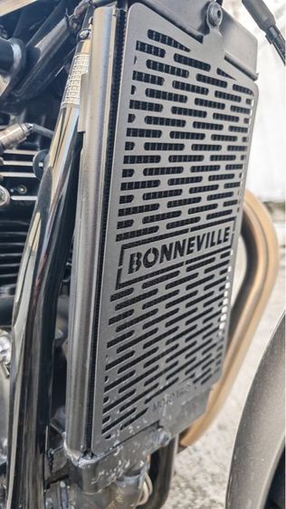 Triumph. T100 goldline รูปที่ 10