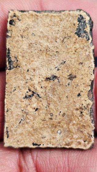 พระสมเด็จปรกโพธิ์ รูปที่ 5