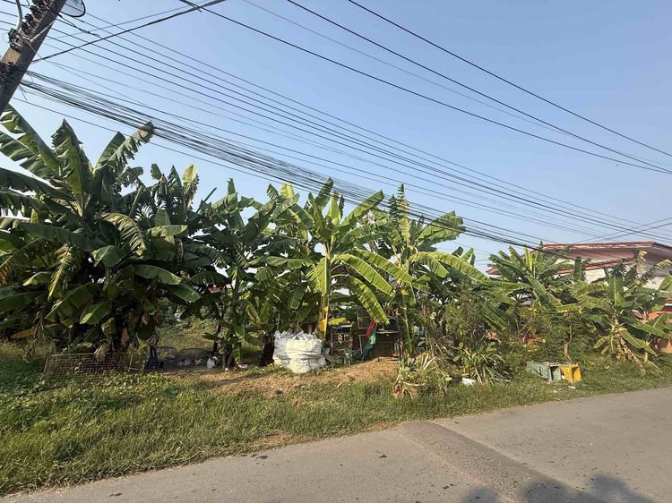 ขายด่วนมาก ที่ดินถมแล้ว 209 ตารางวา ราคาพิเศษ มีนาคม69