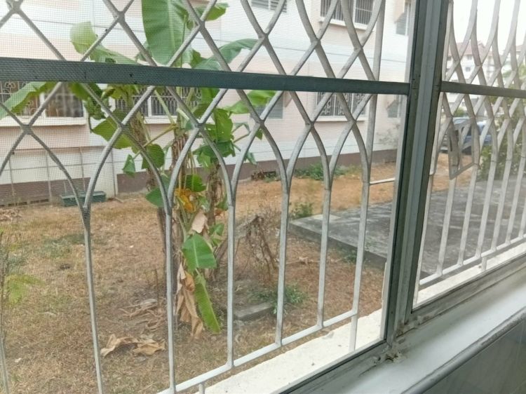 อื่นๆ ไม่อนุญาต มีบางส่วน 2010 เอื้ออาทรป่าตัน รูปที่ 4