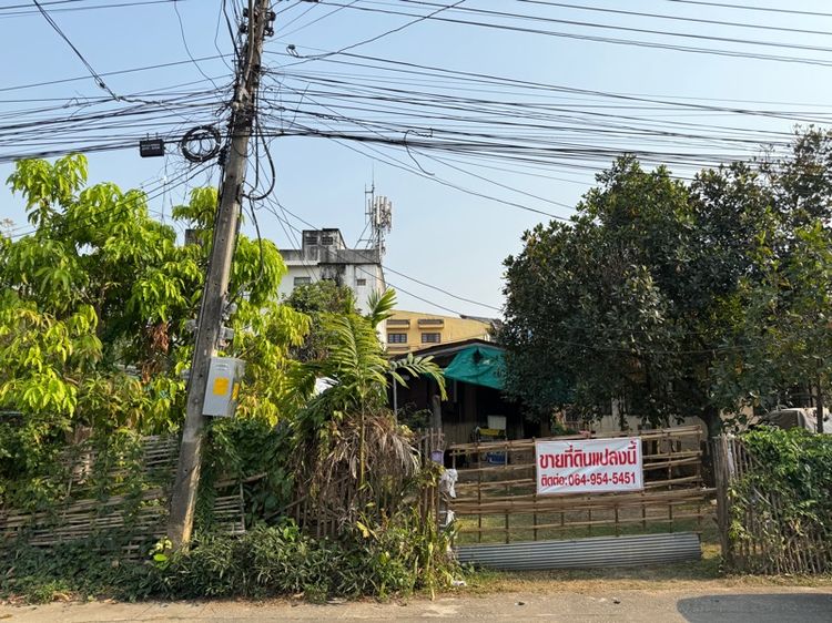 ขายที่ดิน จังหวัดเชียงใหม่  รูปที่ 2