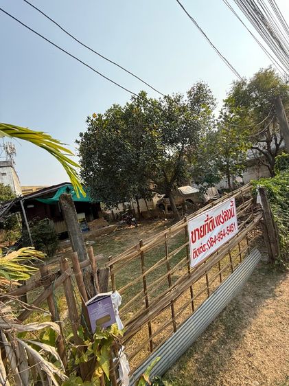 ขายที่ดิน จังหวัดเชียงใหม่  รูปที่ 4