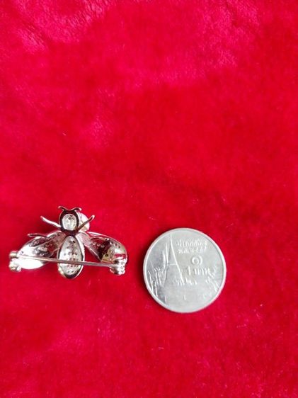 เข็มกลัดเงิน รูปที่ 2