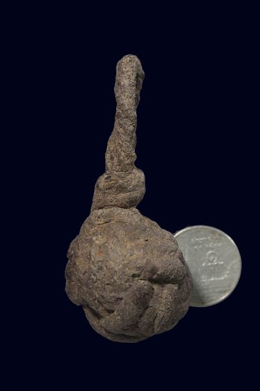 ตะกร้อถักเก่าๆไม่รู้ที่ รูปที่ 4