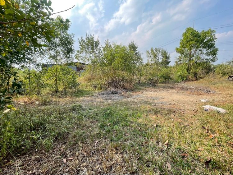 ขายด่วน ที่ดินถมแล้ว ปทุมธานี 57 ตร.ว. เพียง 2.9 แสน รูปที่ 4