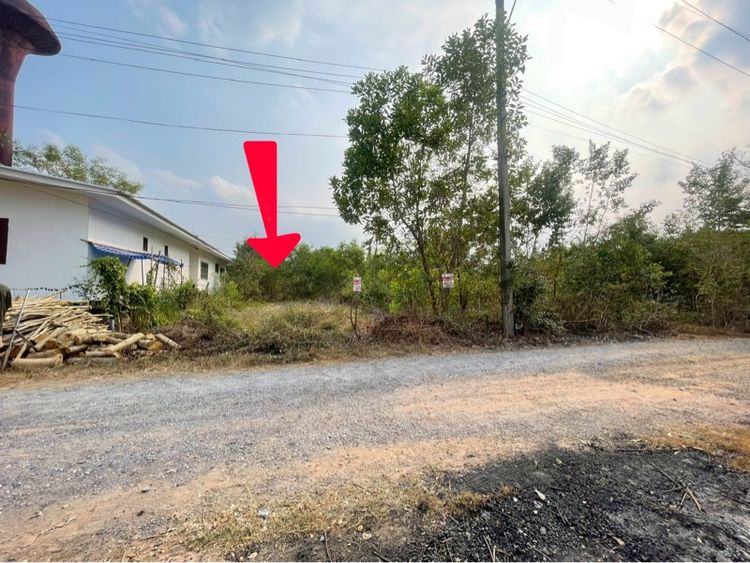 ขายด่วน ที่ดินถมแล้ว ปทุมธานี 57 ตร.ว. เพียง 2.9 แสน รูปที่ 2