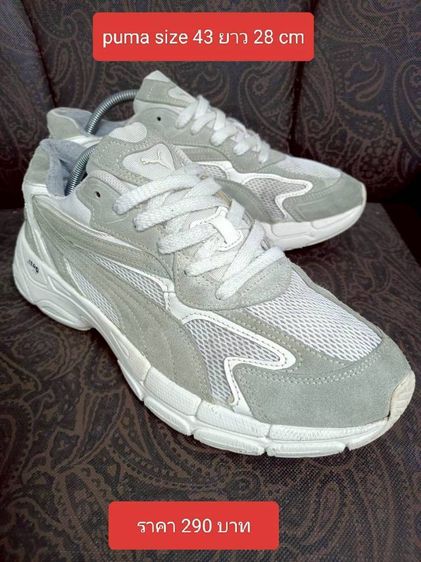 รองเท้ามือสอง รูปที่ 9