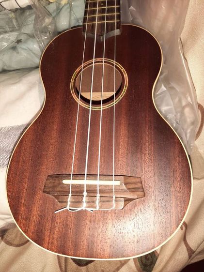 เรือ อคูเลเล่ Tanglewood ค่าส่ง 80