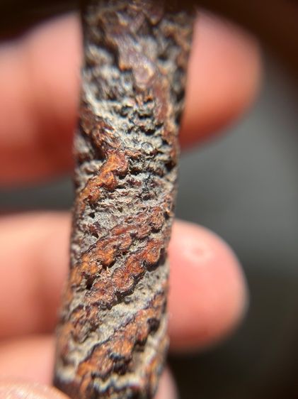 เปิดตะกรุดจระเข้ขบฟันยาว 3.8 นิ้ว ไม่ทราบที่(มีสินค้าหลายรายการกดเข้ามาดูในโปรไฟล์ได้เลยครับ) รูปที่ 8