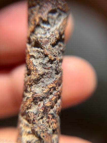 เปิดตะกรุดจระเข้ขบฟันยาว 3.8 นิ้ว ไม่ทราบที่(มีสินค้าหลายรายการกดเข้ามาดูในโปรไฟล์ได้เลยครับ) รูปที่ 6