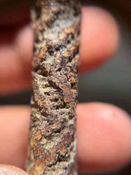 เปิดตะกรุดจระเข้ขบฟันยาว 3.8 นิ้ว ไม่ทราบที่(มีสินค้าหลายรายการกดเข้ามาดูในโปรไฟล์ได้เลยครับ) รูปที่ 7